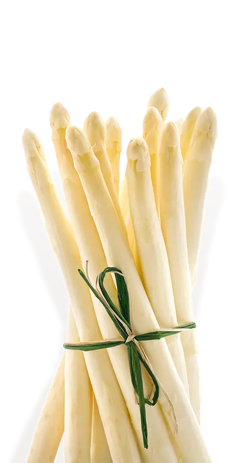 Weisser Spargel